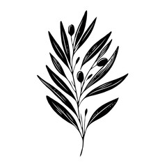 Elegant Floral Branch Illustration. Olive illustration, laurel wreath vector, black olives on a branch. 
Olive branch with leaves and berries. Black and white vector illustration. 
