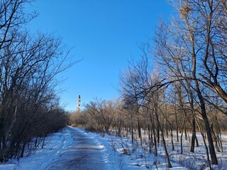 winter landscape with trees and snow