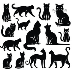 Cat breeds black silhouettes isolated on white background. Set of cats silhouettes isolated on white background. Big set of cats. 
