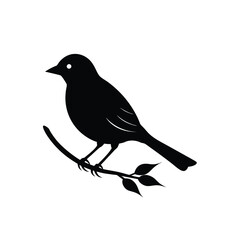 Bird on a branch vector illustration
