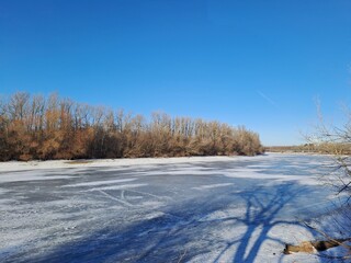 landscape with trees and snow