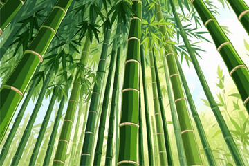 Obraz premium bamboo forest background