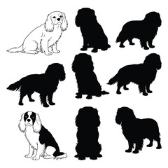 Set of beautiful Cavalier King Charles Spaniel Silhouettes  on white background