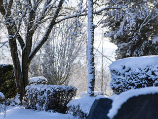 Schönes Winterwetter mit Schnee auf Bäumen im Park