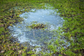 the water on the field is frozen, climatic changes