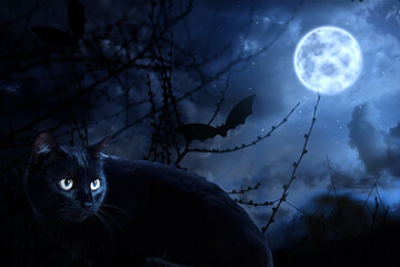 Creepy black cat and bat at night under full moon light