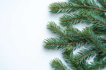 Evergreen pine branches arranged elegantly on a light background for festive decoration or craft use
