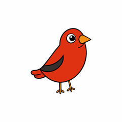 Finch cartoon vector on white background

