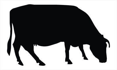 silhouette of a cow