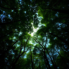 Obraz premium Minimalistic Black Honeycomb Texture for Stylish Backgrounds Elegant Dark Hexagon Grid: Perfect for Luxury Themes