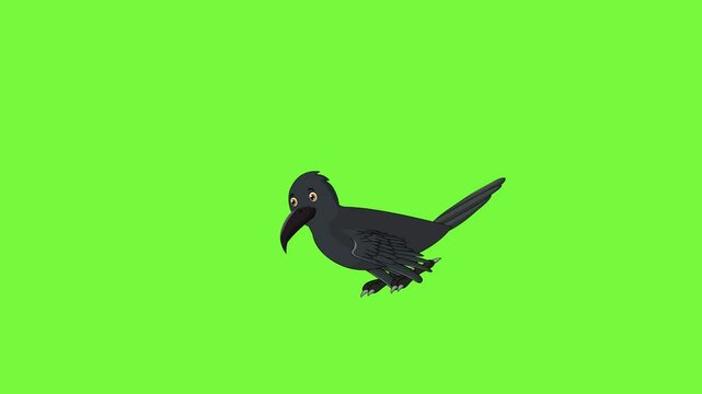 Crow 2d cartoon flying in the sky. Bird rigging animation.