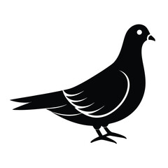 dove vector silhouette illustration on white background