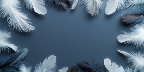 Obraz premium A blue background with white and black feathers in a circle