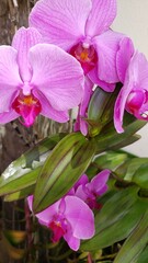 The Beauty of Nature in Detail