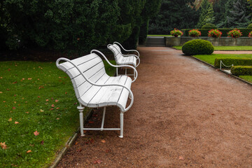 An iron bench, carefully painted and clean, is placed in the park for people to sit and rest. High quality photo