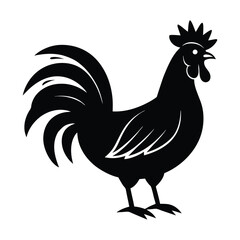 rooster vector illustration silhouette on white background