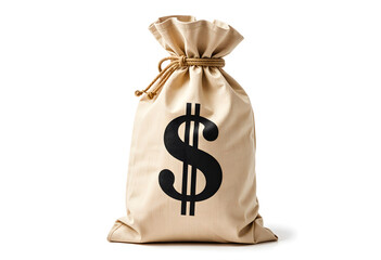 Money Bag with Dollar Sign Isolated on White Background
