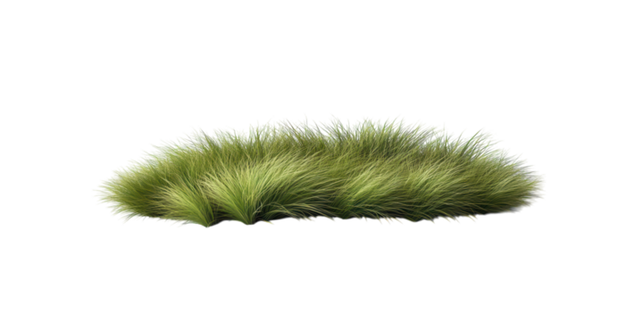 Grass with striped pattern isolated. PNG transparent.