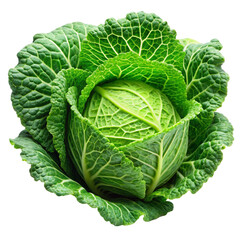 Obraz premium Fresh green cabbage isolated on transparent background 