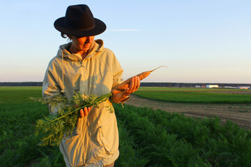 Woman harvesting fresh carrot from vegetable garden. Homegrown produce and organic gardening. result of his work in field