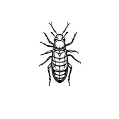 Cockroach Vector Logo Design