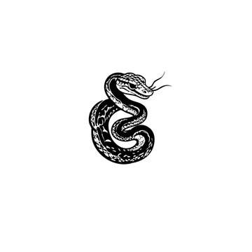 Snake Vector Logo Design