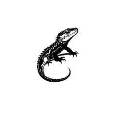 Obraz premium Spiny Lizard