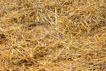 Bed of straw in a stable. Backgrounds.