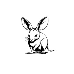 Obraz premium Bilby Vector Logo Design