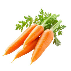 Fresh carrots with green tops on a transparent background highlight their vibrant orange color and healthy look, Fresh carrots isolated on transparent background