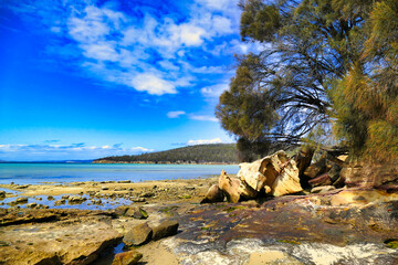 Obraz premium Rocky coast with blue bay and casuarina tree (she-oak) on a sunny summer day at Lime Bay State Reserve, Tasman Peninsula, Tasmania, Australia 