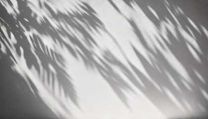 Abstract natural tree leaves shadow on white wall background