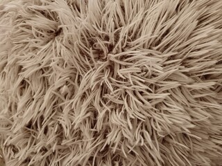 Fur texture 