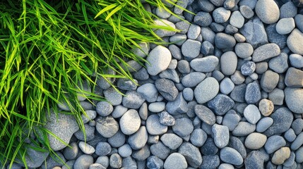 Textured stones and vibrant green grass in natural landscape setting with Copy Space for design and layout needs