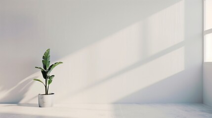 A potted plant sits in a white room with a large window. The room is empty and the plant is the only object in the space. AI generated.
