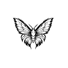 Obraz premium Moth Vector Logo Design