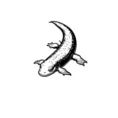 Fototapeta premium Newt Vector Logo Design