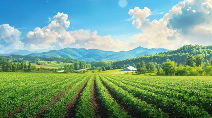 Fototapeta premium Panoramic view of lush green farmland with rows of crops under a blue sky and mountains in the background Copy Space