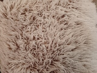 fur texture