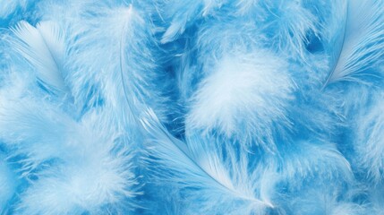 Obraz premium Blue feathers background texture with soft and fluffy appearance featuring copy space for text placement.
