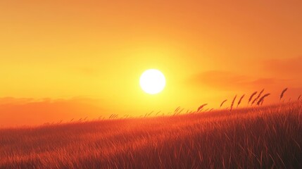 Sunset over golden grass field with warm tones and clear sky, featuring sun disk on horizon, Copy Space available for text.
