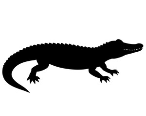 alligator black silhouette vector, Simple silhouette Design vector icon with white background. Wild Animal Vector.	