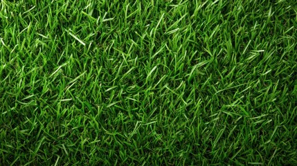 Lush Green Grass Texture Ideal for Nature Backgrounds and Organic Themed Designs in High Resolution