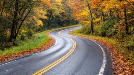 Curving road through colorful autumn foliage with wet pavement and fallen leaves on the side Copy Space