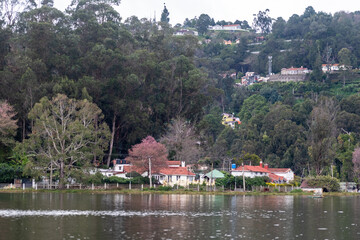 Serene view of Kodaikanal Lake surrounded by lush greenery and charming cottages during a tranquil afternoon