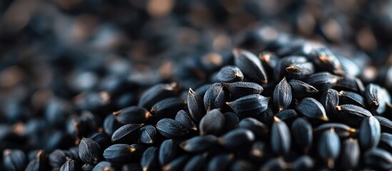 Black seeds on a growing plant with ample copyspace for text ideal for agricultural or botanical themes and presentations on seed growth