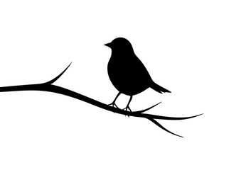Bird black silhouette vector, bird on a brunch Simple silhouette Design vector icon with white background. Wild Animal Vector. Bird Vector 	