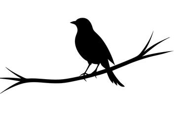 Bird black silhouette vector, bird on a brunch Simple silhouette Design vector icon with white background. Wild Animal Vector. Bird Vector 	