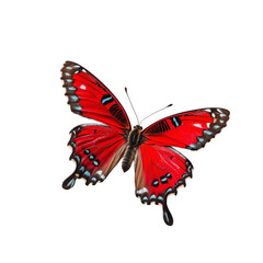 Naklejka premium Vivid Red Butterfly Isolated on Transparent Background