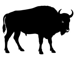 bison black silhouette vector, Simple silhouette Design vector icon with white background. Wild Animal Vector.	